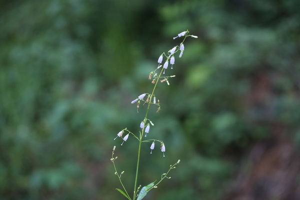 헤드라인 기사 이미지